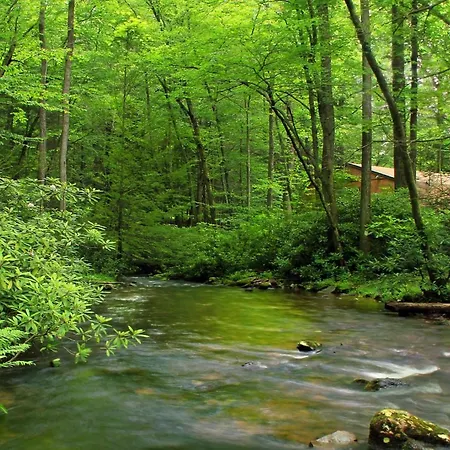 Natures Nest